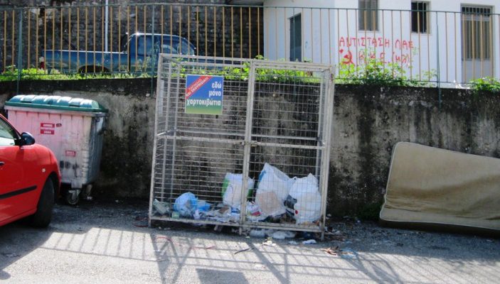 pic2.jpg