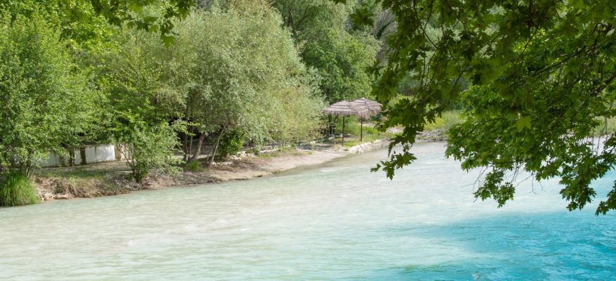 Piges_acheronta