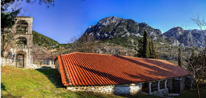 ag.triada_selliani