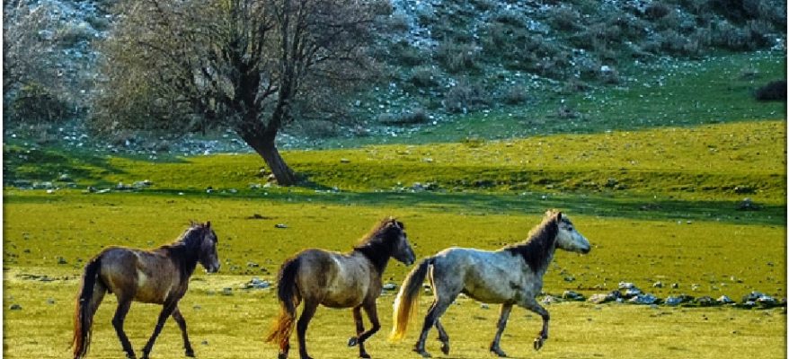 limni_souli1