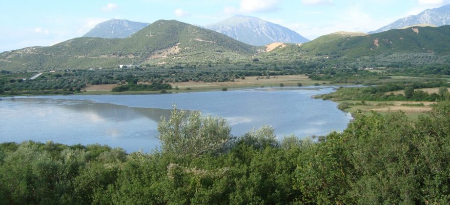 prontani1