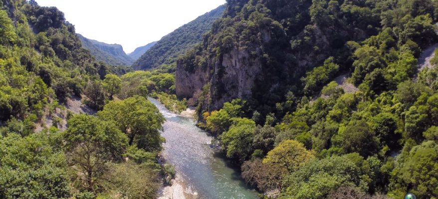 spiropigadia_aerial1