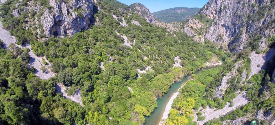 spiropigadia_aerial2
