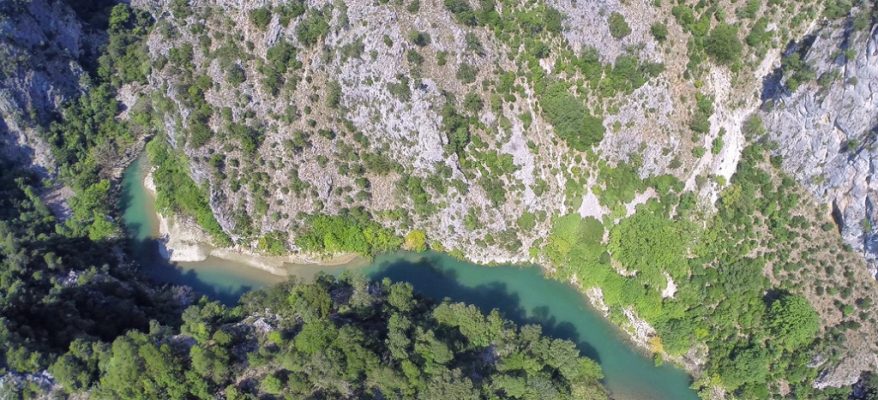 spiropigadia_aerial3