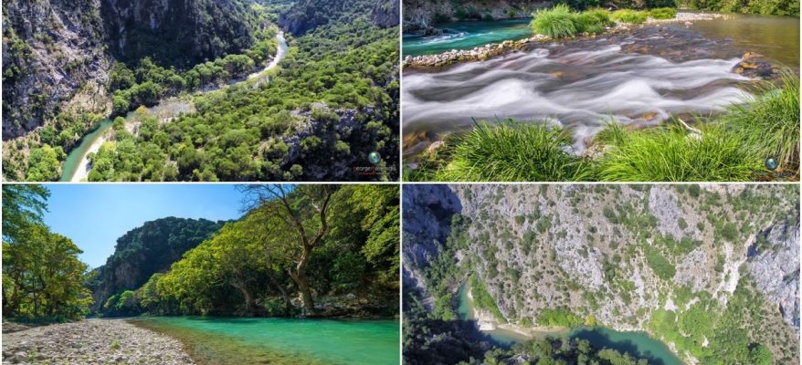 spiropigadia_aerial4