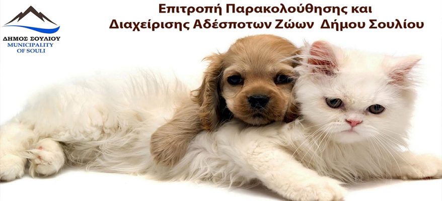 Αδεσποτα