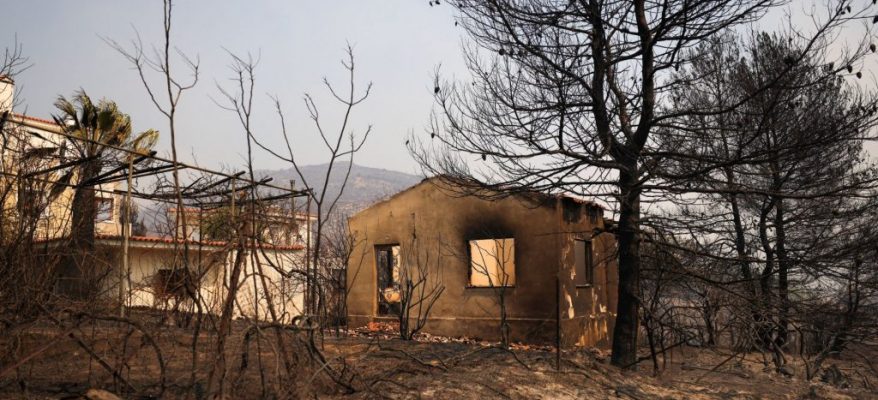 2024-08-12T124439Z_2026717062_RC2BE9ARC0RB_RTRMADP_5_EUROPE-WEATHER-GREECE-WILDFIRE-1024x683-1-2